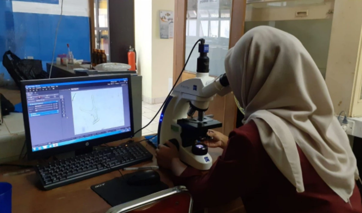 Reforestation Project